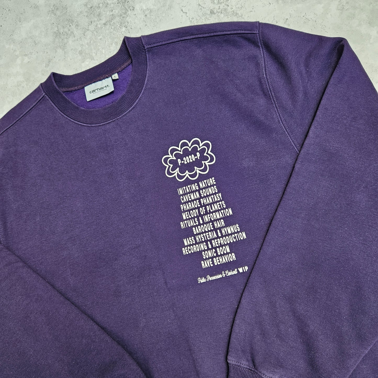 Carhartt WIP x Relevant Parties Public Possession Sweatshirt (L)